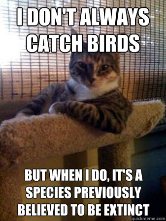 I don't always catch birds but when I do, it's a species previously believed to be extinct  The Most Interesting Cat in the World