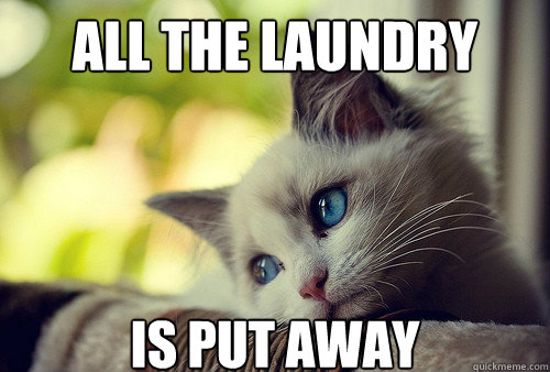 ALL THE LAUNDRY IS PUT AWAY  First World Problems Cat