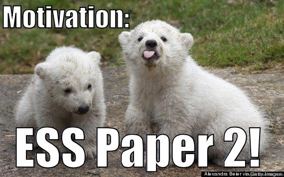 MOTIVATION:                                ESS PAPER 2! Misc