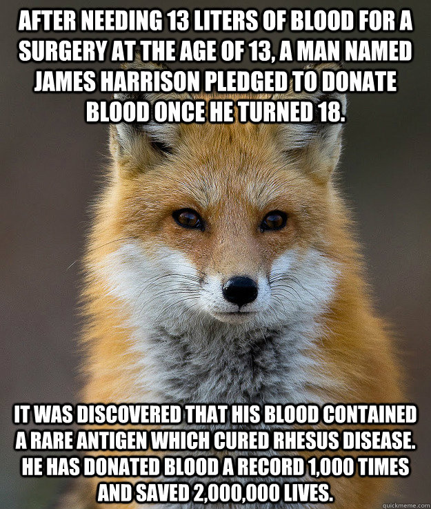 after needing 13 liters of blood for a surgery at the age of 13, a man named James Harrison pledged to donate blood once he turned 18. It was discovered that his blood contained a rare antigen which cured Rhesus disease. He has donated blood a record 1,00  Fun Fact Fox