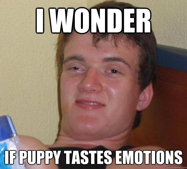 i wonder if puppy tastes emotions  10 Guy