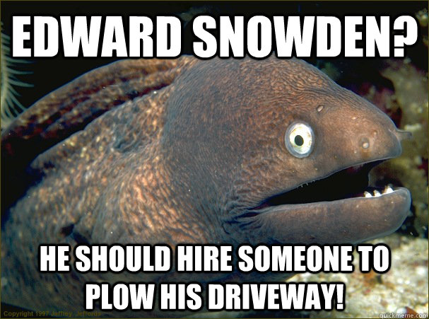 edward snowden? he should hire someone to plow his driveway!  Bad Joke Eel