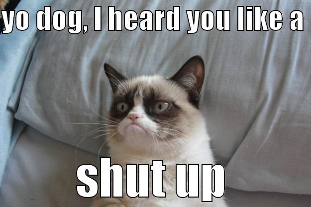 YO DOG, I HEARD YOU LIKE A  SHUT UP Grumpy Cat