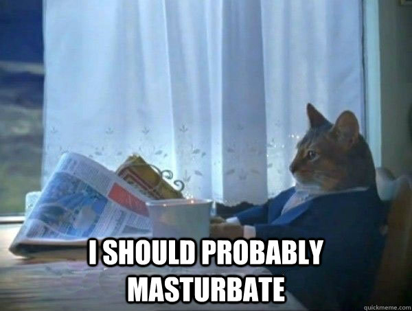   I should probably masturbate  morning realization newspaper cat meme