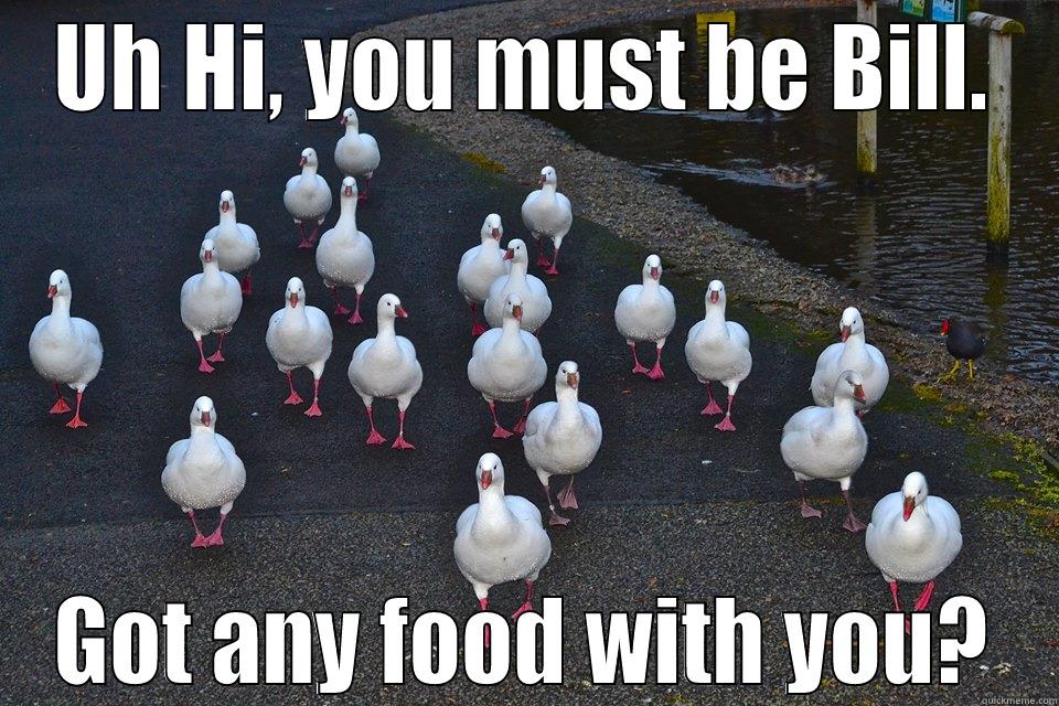 Geese beggars - UH HI, YOU MUST BE BILL. GOT ANY FOOD WITH YOU? Misc