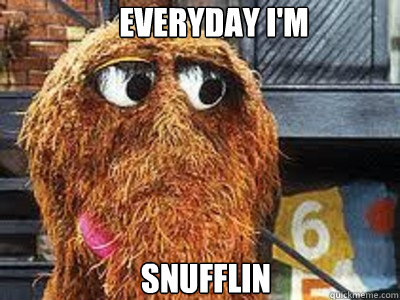 Everyday I'm Snufflin  