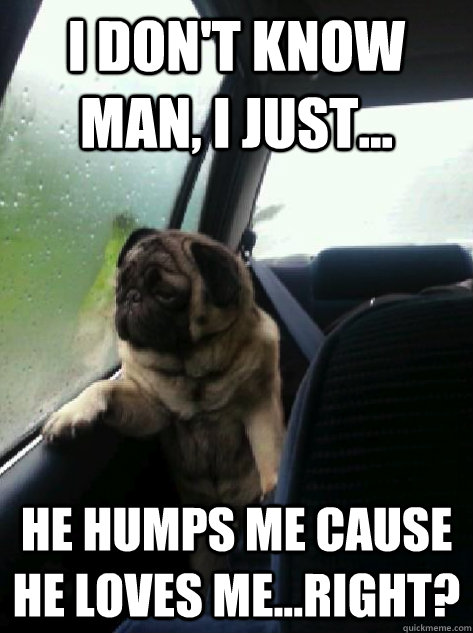 I don't know man, I just... he humps me cause he loves me...right?  Introspective Pug