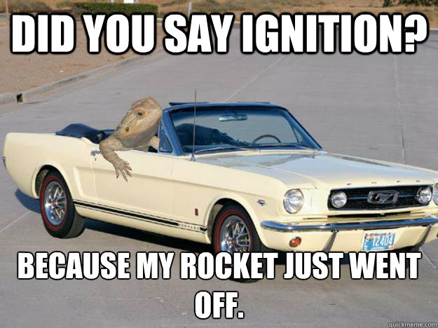 Did you say ignition? Because my rocket just went off.
  Pickup Dragon