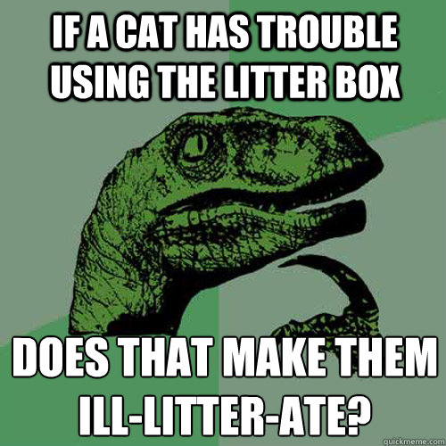 If a cat has trouble using the litter box Does that make them
ill-litter-ate?  Philosoraptor