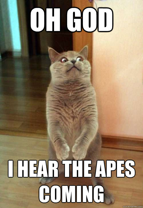 Oh god I hear the apes coming  Horrorcat