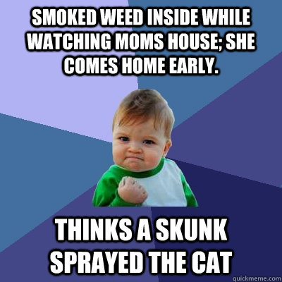 Smoked weed inside while watching moms house; she comes home early. thinks a skunk sprayed the cat  Success Kid