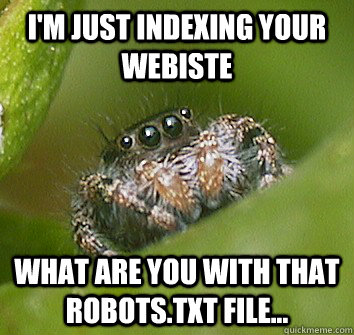 I'm just indexing your webiste What are you with that robots.txt file...  Misunderstood Spider