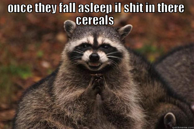 ONCE THEY FALL ASLEEP IL SHIT IN THERE CEREALS   Evil Plotting Raccoon