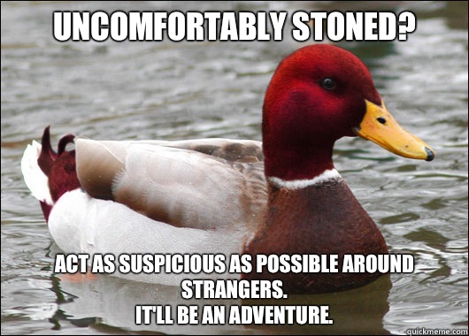 Uncomfortably stoned?
 Act as suspicious as possible around strangers. 
It'll be an adventure.  Malicious Advice Mallard