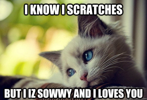 I know I scratches but i iz sowwy and i loves you  First World Problems Cat