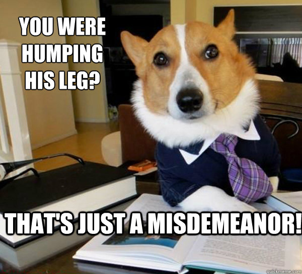 You were humping his leg? That's just a misdemeanor!  Lawyer Dog