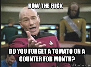 How the fuck do you forget a tomato on a counter for month?  Annoyed Picard