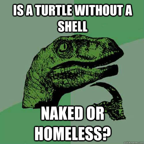 is a turtle without a shell  naked or homeless?  Philosoraptor