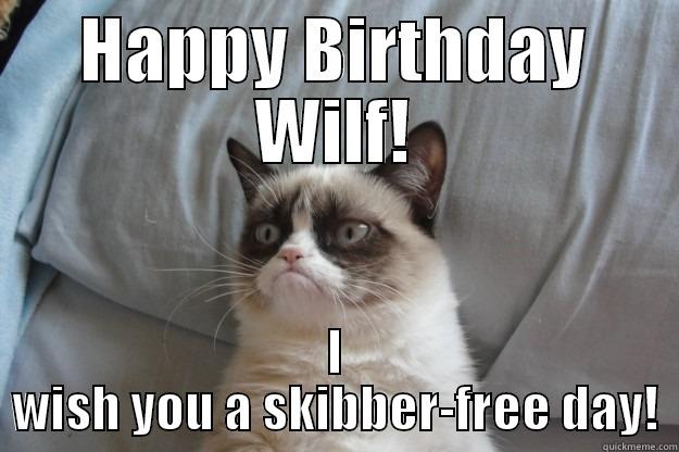 HAPPY BIRTHDAY WILF! I WISH YOU A SKIBBER-FREE DAY! Grumpy Cat