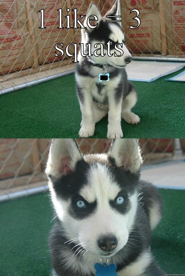 1 LIKE = 3 SQUATS  Insanity puppy