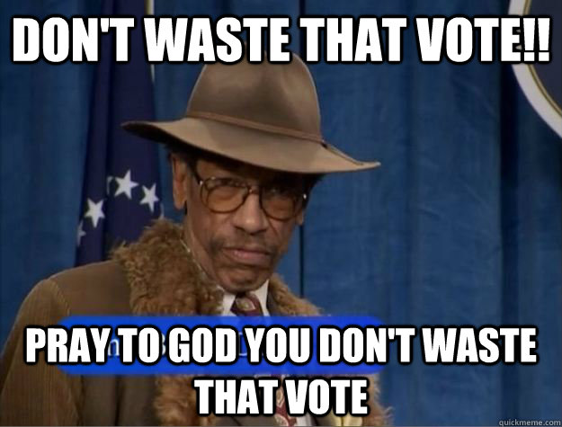 don't waste that vote!! pray to god you don't waste that vote - don't waste that vote!! pray to god you don't waste that vote  Some Voter Dude