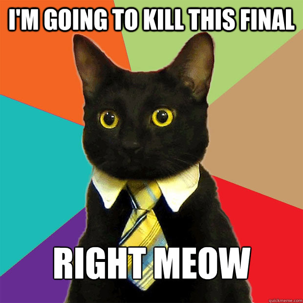 I'm going to kill this final right meow  Business Cat