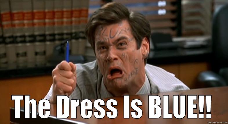 The Dress Is Blue -  THE DRESS IS BLUE!! Misc