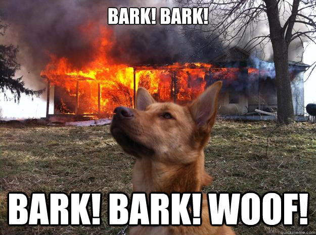 BARK! BARK! BARK! BARK! WOOF! - BARK! BARK! BARK! BARK! WOOF!  Bad Dog