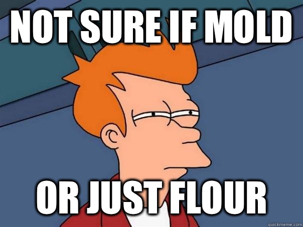 Not sure if Mold Or just flour  Futurama Fry