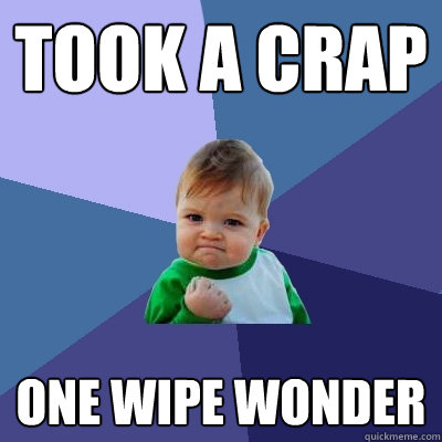 Took a crap one wipe wonder  Success Kid