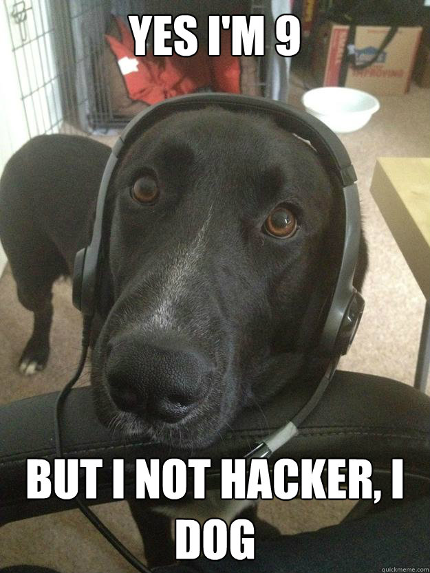 Yes I'm 9 But I not hacker, I dog - Yes I'm 9 But I not hacker, I dog  Misc