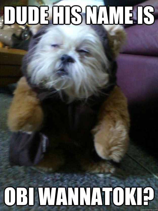 Dude his name is Obi Wannatoki?  Stoned Ewok