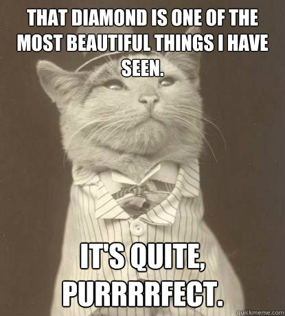 That diamond is one of the most beautiful things I have seen. it's quite, purrrrfect.  Aristocat