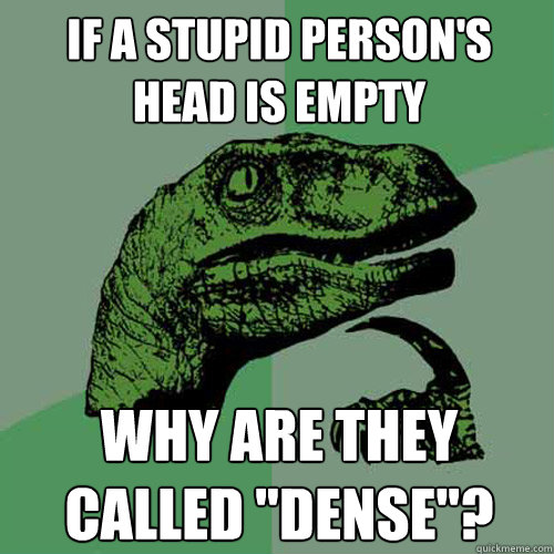 If a stupid person's head is empty why are they called 