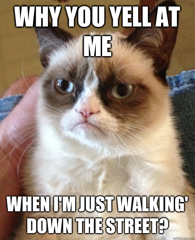 Why you yell at me when I'm just walking' down the street?  Grumpy Cat