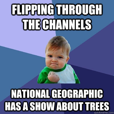 Flipping through the channels national geographic has a show about trees  Success Kid