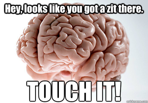 Hey, looks like you got a zit there. TOUCH IT!  Scumbag Brain