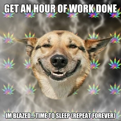 Get an hour of work done im blazed... time to sleep (repeat forever)  Stoner Dog