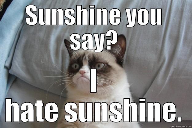 SUNSHINE YOU SAY? I HATE SUNSHINE. Grumpy Cat