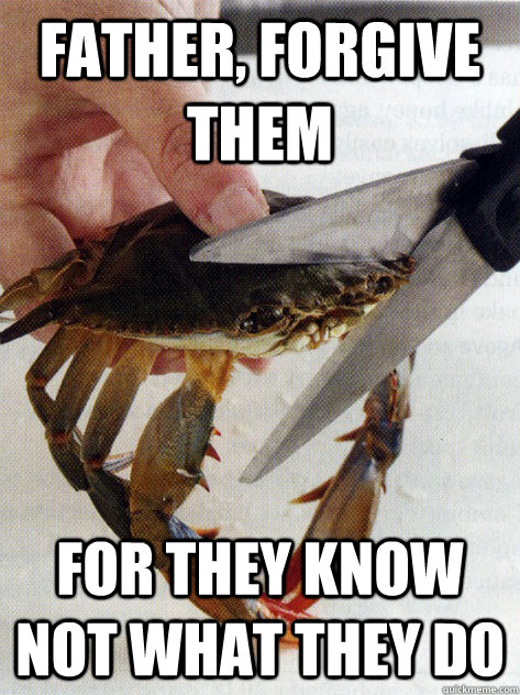 father, forgive them for they know not what they do - father, forgive them for they know not what they do  Optimistic Crab