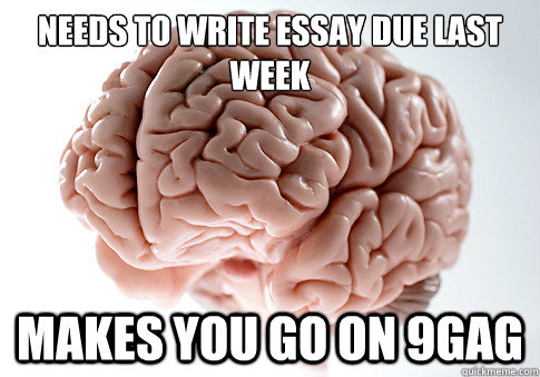 NEEDS TO WRITE ESSAY DUE LAST WEEK MAKES YOU GO ON 9GAG  Scumbag Brain