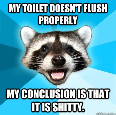 My toilet doesn't flush properly my conclusion is that it is shitty.  Lame Pun Coon