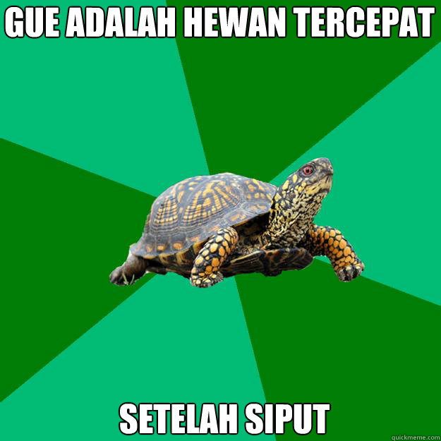 gue adalah hewan tercepat setelah siput Caption 3 goes here - gue adalah hewan tercepat setelah siput Caption 3 goes here  Torrenting Turtle