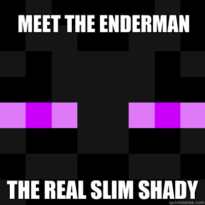 Meet The Enderman The real Slim Shady  enderman