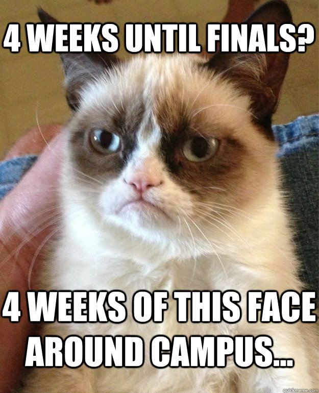 4 weeks until finals? 4 weeks of this face around campus...  Grumpy Cat