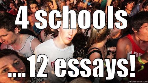 4 SCHOOLS ....12 ESSAYS! Sudden Clarity Clarence