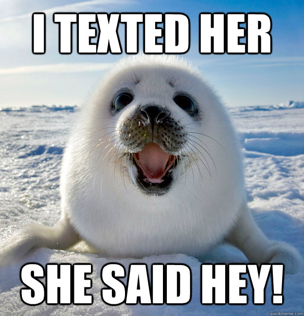 I texted her she said hey!  Easily Pleased Seal