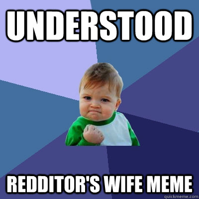 understood redditor's wife meme - understood redditor's wife meme  Success Kid