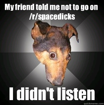 My friend told me not to go on /r/spacedicks I didn't listen  Depression Dog