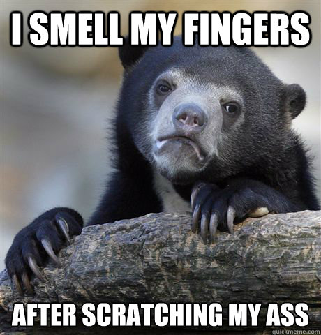 I smell my fingers after scratching my ass  Confession Bear